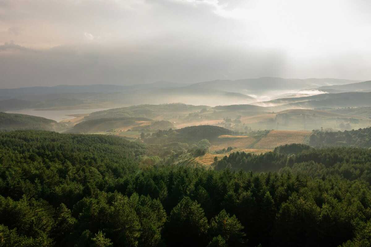 monti della sila